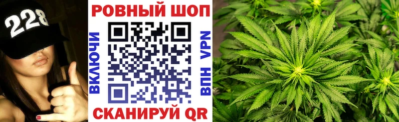 Купить закладку ГАШИШ  Codein  Амфетамин  Канабис  Меф  APVP  Кокаин  Нефтекумск