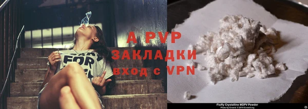 кокс Корсаков
