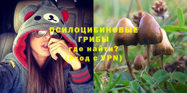 стаф Костерёво