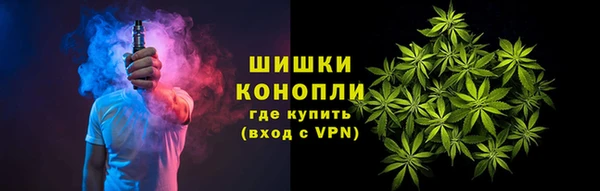 стаф Костерёво