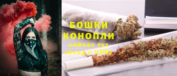 кокс Корсаков